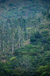 CRW_1120