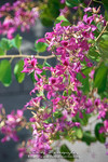 CRW_1033