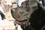 IMG_6495