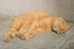IMG_7880