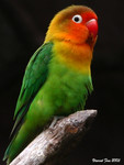 DSCN3998_cuteb
