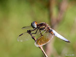 DSCN9921