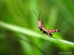 DSCN0107_mygallery11