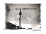 jenny_photo