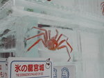 DSCN0271