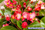 CRW_6563a copy