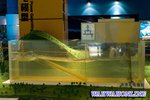 CRW_0126a