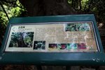 IMG_6157a