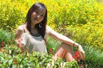 IMG_2619a