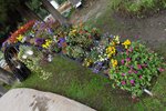 IMG_1061a