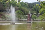 IMG_1100a
