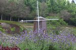 IMG_1117a