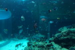 IMG_4058ab