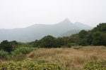 IMG_9894