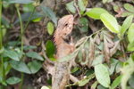 IMG_0028