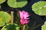 IMG_3895