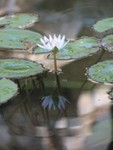 IMG_9896