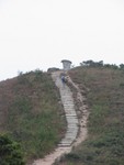 龍 脊 觀 景 台
