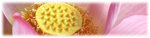 logo-070714