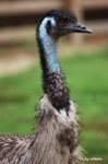 WEB-DSC_7360