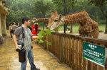 web-DSC_7374