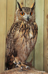 web-DSC_7451