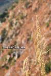 web-090104-044