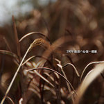 web-090104-088