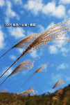 web-090104-118
