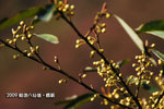 web-090104-120