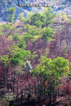 web-090104-122