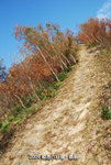 web-090104-127