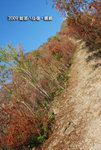 web-090104-128