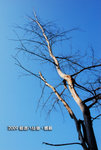 web-090104-134