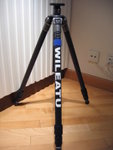 Personalized G1257
