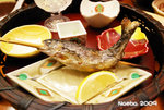 FB-DSC_3794