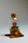 Origami Tulips in a Bottle
"I get confused when I found you."