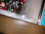 DSCN3653