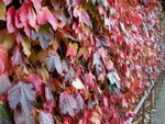 DSCN2813