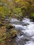 DSCN2817