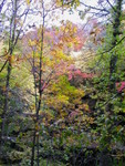 DSCN2819