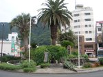 CIMG0666