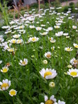 DSCN2198