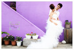 W&Lwedd_0033