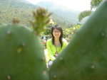 DSC03914