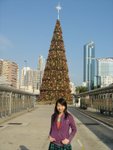 DSC02926