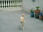 CIMG0015