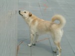 CIMG0016