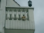 CIMG0032