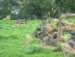 DSC01101
